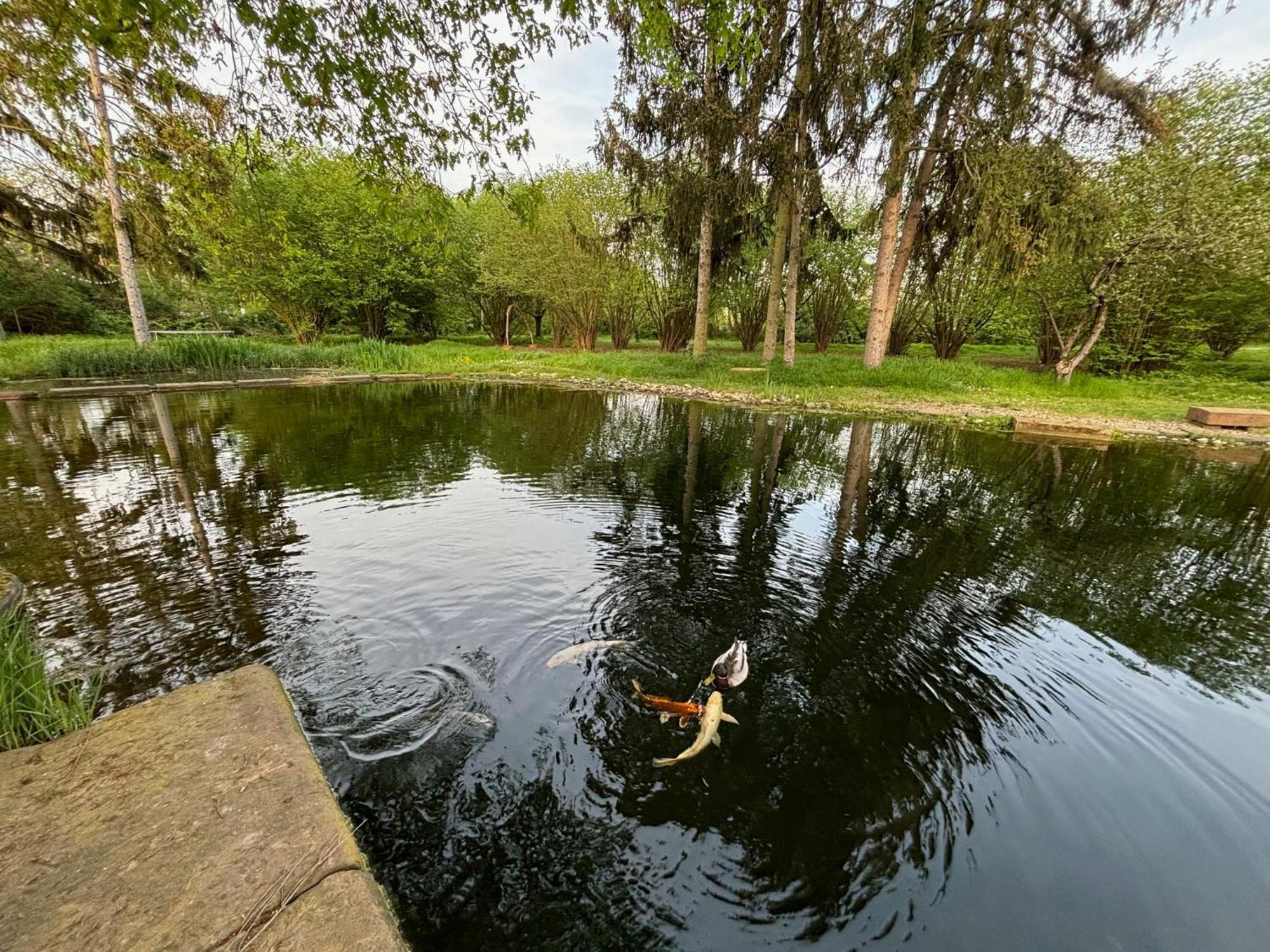 Datscha Am See Worms Eksteriør billede